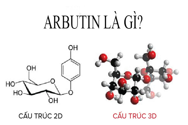 Arbutin là gì?