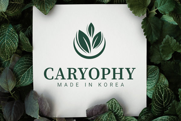 Caryophy là thương hiệu mỹ phẩm chăm sóc da mặt dành cho da mụn đến từ xứ sở kim chi và được nhiều phụ nữ Hàn tin dùng trong suốt 10 năm qua