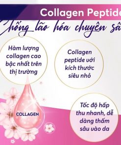 Vien uong Collagen DHC Nhat Ban 8